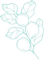 health-shape-35.png