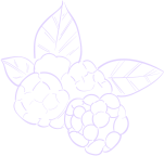 shape-03-2.png