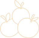 cradis-fruit-Champagne-orange-shape-03-2